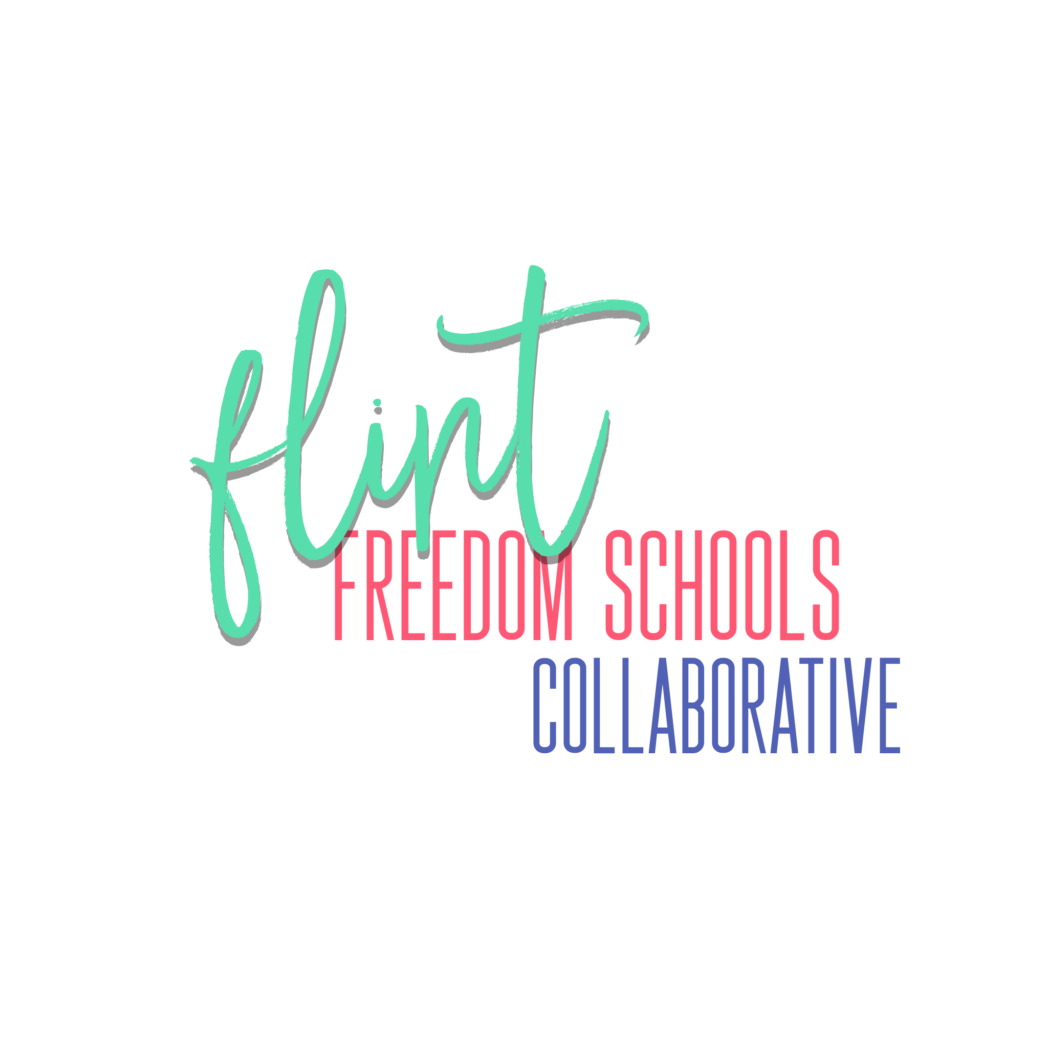 freedom schools